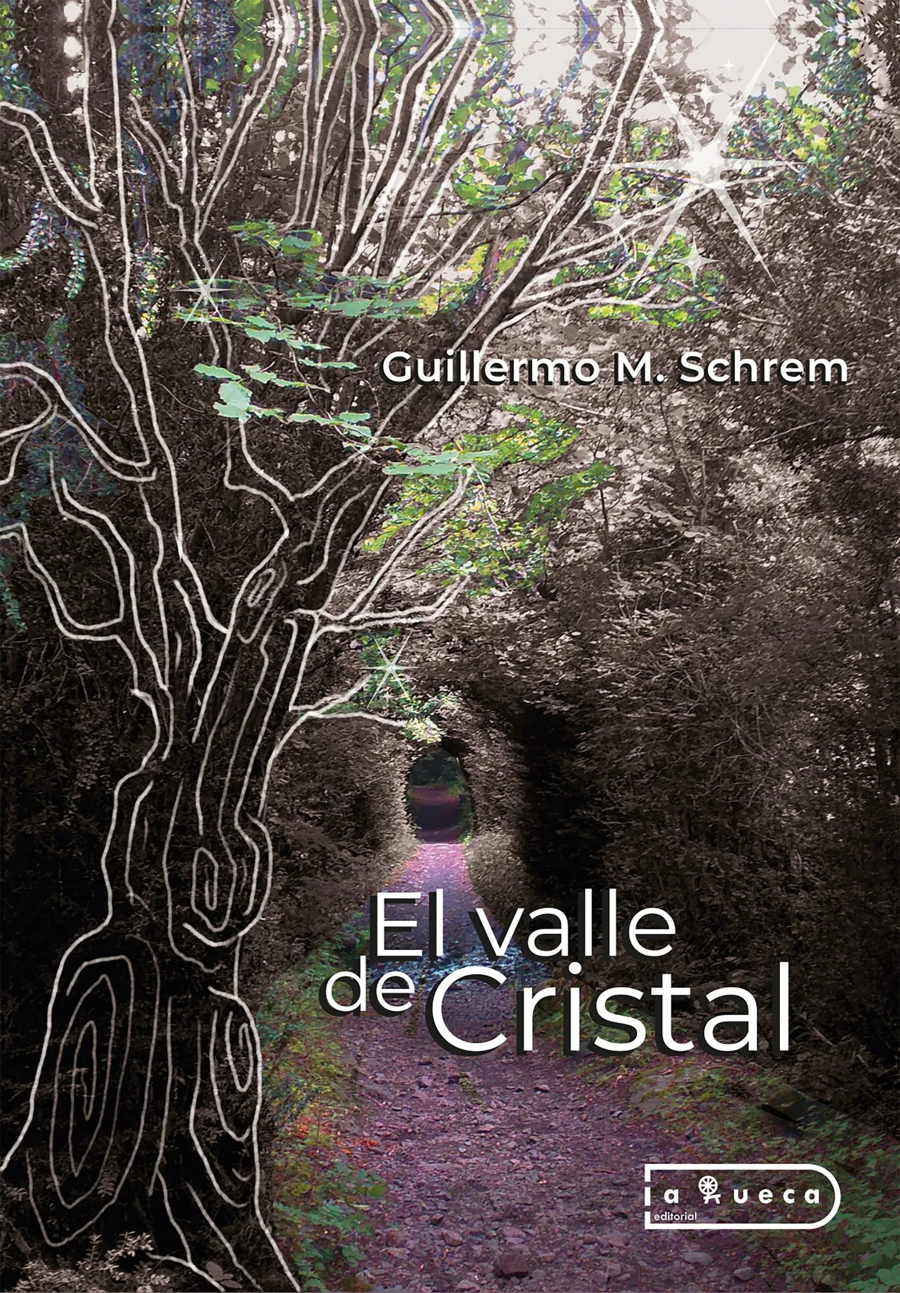 Portada de El Valle de Cristal